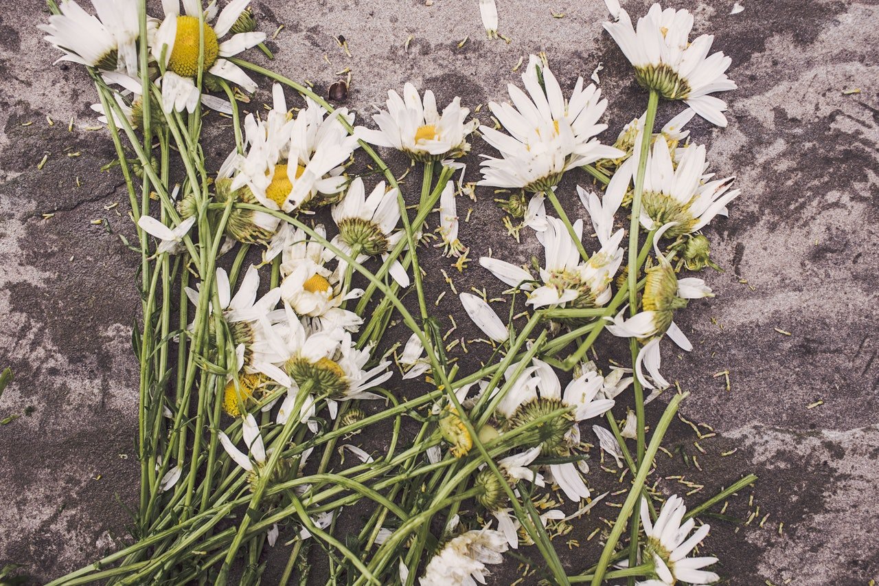 best-funeral-service-provider-in-singapore